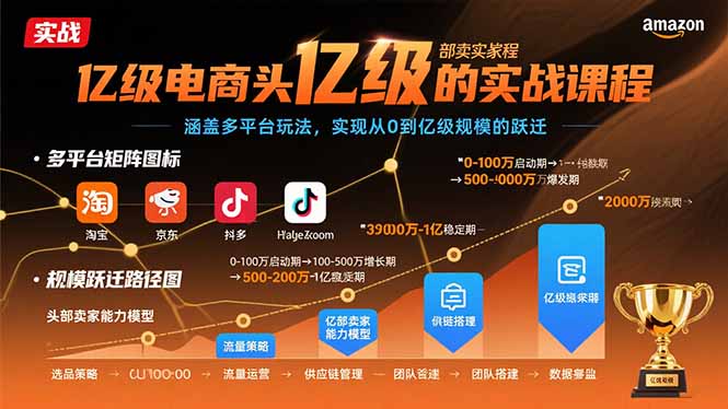亿级电商头部卖家的实战课程：涵盖多平台玩法，实现从0到亿级规模的跃迁-星火轻创