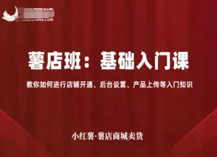小红薯薯店商城卖货，基础入门课，教你如何进行店铺开通、后台设置、产品上传等入门知识-星火轻创