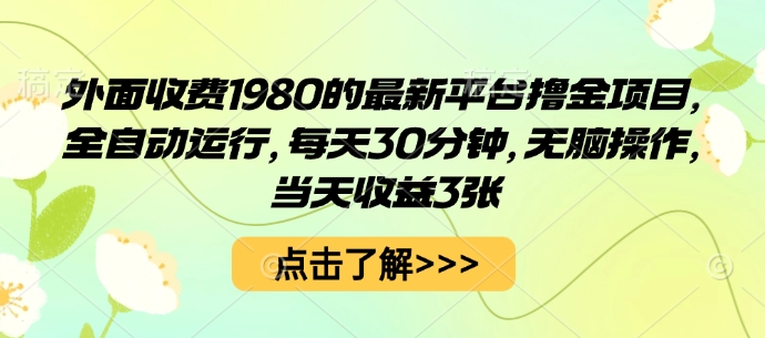 外面收费1980的最新平台撸金项目，全自动运行，每天30分钟，无脑操作，当天收益3张【揭秘】-星火轻创