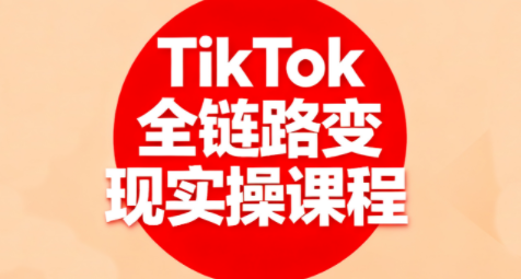 小杨老师·TikTok全链路变现实操课程-星火轻创
