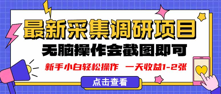 新版采集调研项目，截图上传即可，无脑操作，日收益1-2张-星火轻创