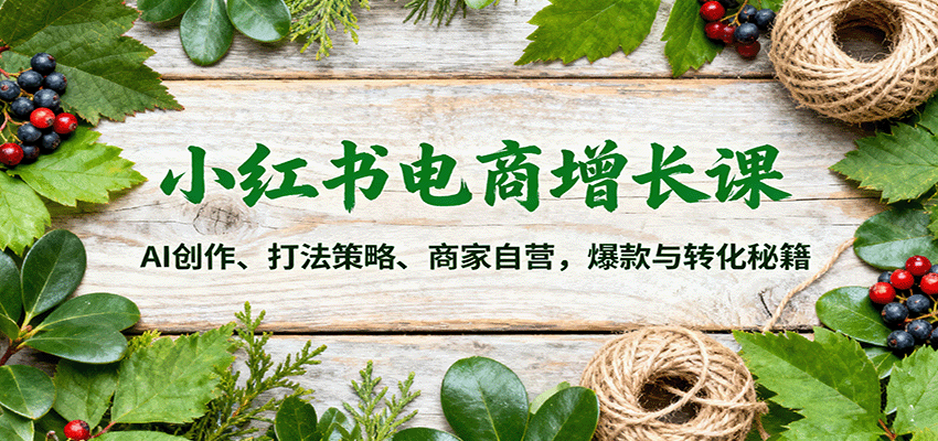 小红书电商增长课:AI创作、打法策略、商家自营,爆款与转化秘籍-星火轻创