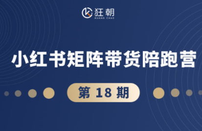 盗坤·抖音小红书视频号短视频带货与直播变现(11-18期)-星火轻创