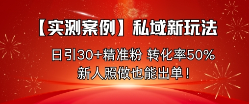 【实测案例】私域新玩法，日引30+精准粉，转化率50%，新人照做也能出单！-星火轻创