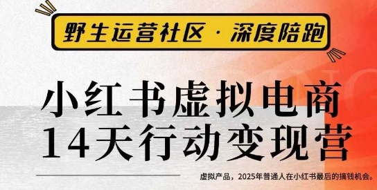 小红书虚拟电商14天变现训练营3.0，​虚拟产品，2025年普通人在小红书最后的搞钱机会-星火轻创