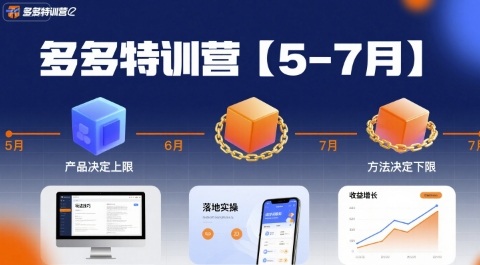 多多特训营，产品决定上限，方法决定下限，各种玩法技巧落地实操(更新)-星火轻创