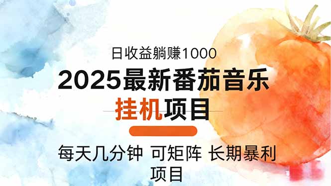 2025年最新番茄音乐人挂机项目，每天几分钟，月入1000＋，可矩阵，一台…-星火轻创