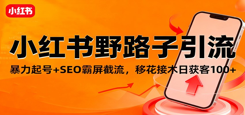 小红书野路子引流,暴力起号+SEO霸屏截流,移花接木日获客100+-星火轻创