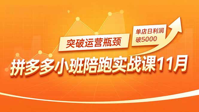 拼多多小班陪跑实战课11月，强付费矩阵、原价活动、暗券引流，突破运营瓶颈，单店日利润破5000-星火轻创