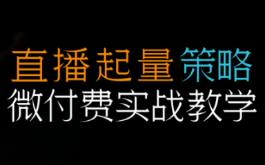 半野老师·直播带货起量与微付费必学课视频号-星火轻创