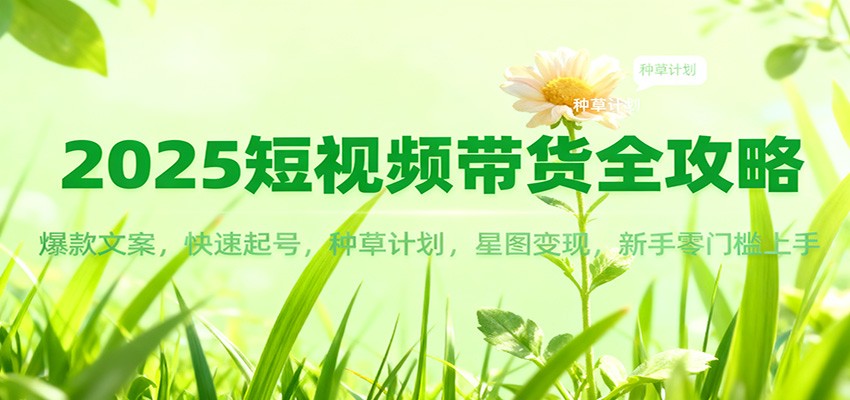 2025短视频带货全攻略：爆款文案，快速起号，种草计划，星图变现，新手零门槛上手-星火轻创