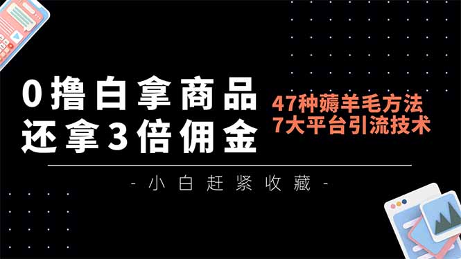 0撸白拿商品，还拿3倍佣金，47种薅羊毛方法，7大平台全方位引流技术教学，精专月入过万-星火轻创