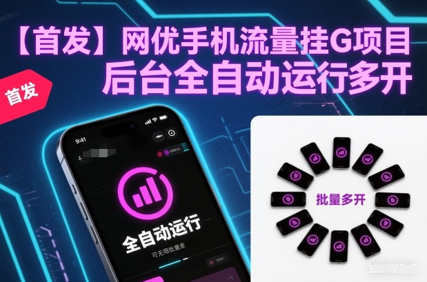 【首发】网优手机流量挂G项目，后台全自动运行，可无限批量多开【揭秘】-星火轻创
