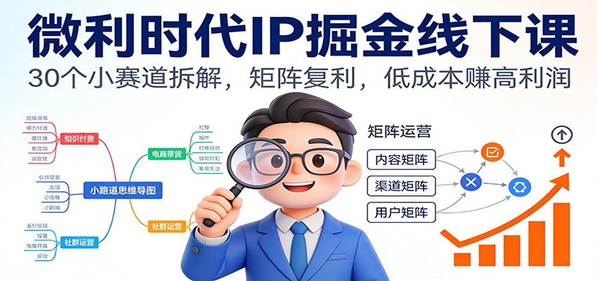 微利时代IP掘金线下课：30个小赛道拆解，矩阵复利，低成本赚高利润-星火轻创