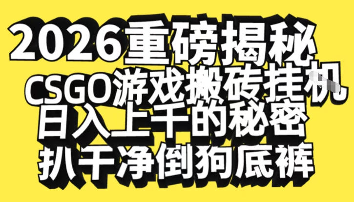 2026开年重磅解密，CSGO游戏搬砖挂G日入1k+的秘密，把倒狗的底裤扒干【揭秘】-星火轻创