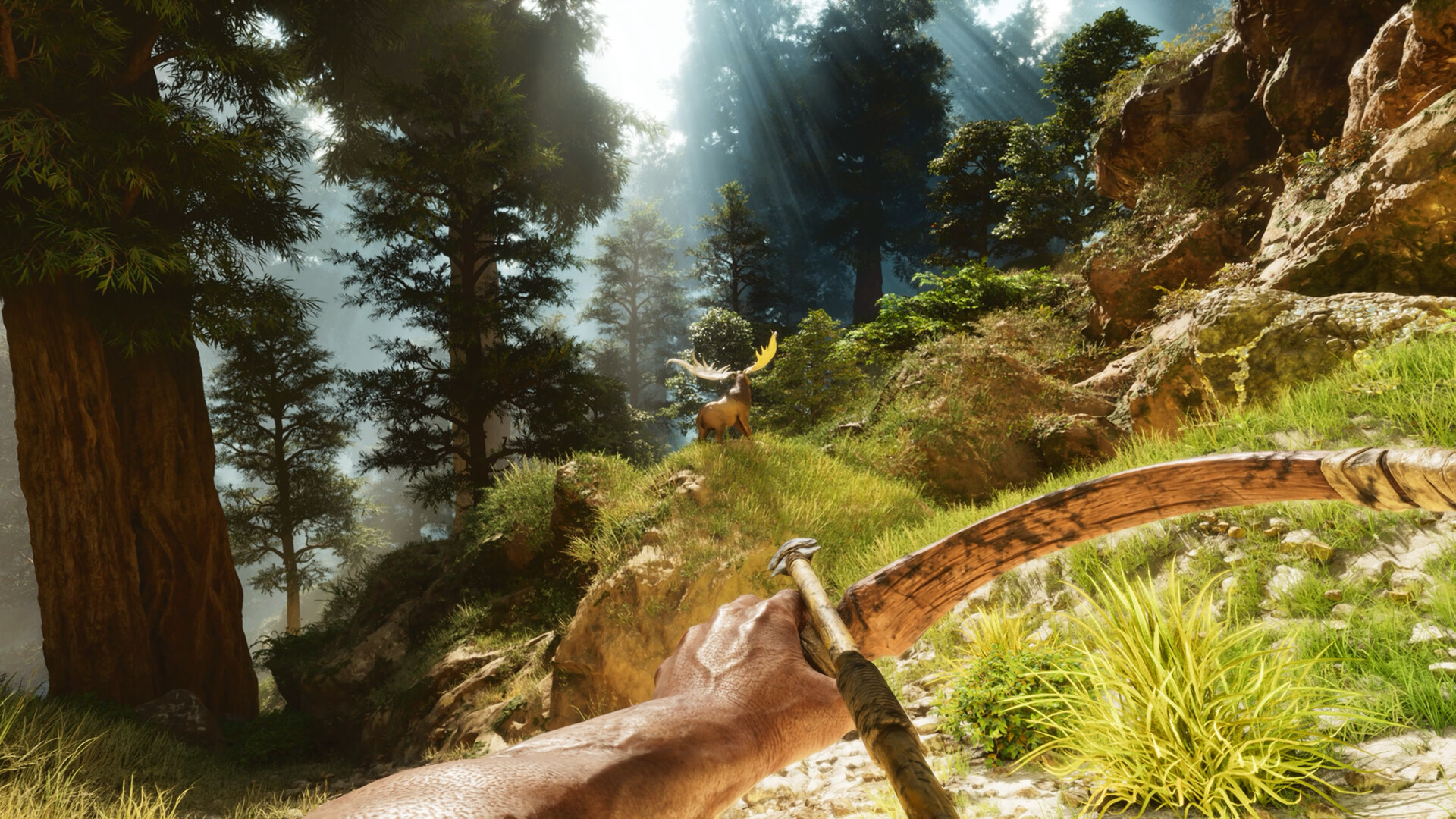 PC游戏《方舟: 生存飞升/ARK: Survival Ascended》中文v77.54下载-星火轻创