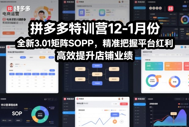 拼多多特训营12-1月份，全新3.01矩阵Sop，精准把握平台红利，高效提升店铺业绩-星火轻创
