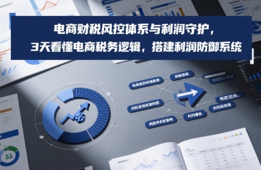 电商财税风控体系与利润守护，3天看懂电商税务逻辑，搭建利润防御系统-星火轻创