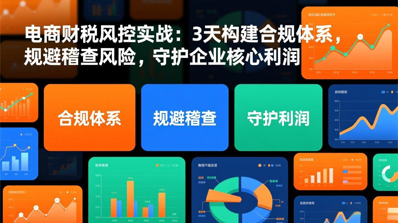 电商财税风控实战：3天构建合规体系，规避稽查风险，守护企业核心利润-星火轻创