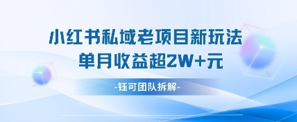 小红书私域项目新玩法,单月变现过W+-星火轻创