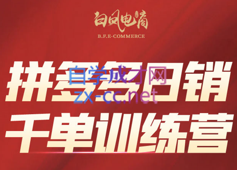 白凤电商·拼多多日销千单训练营(更新2月)-星火轻创