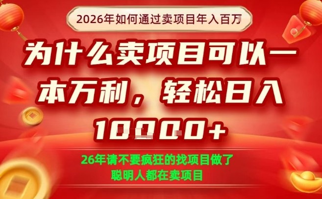 一单净利润1K+，26年想年入100个W，死磕卖项目就够了【揭秘】-星火轻创