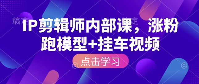 IP剪辑师内部课，涨粉跑模型+挂车视频(更新)-星火轻创