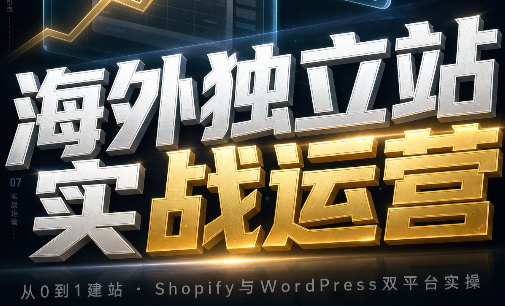 海外独立站实战运营-星火轻创