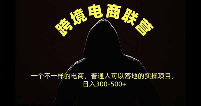 跨境电商联营,一个不一样的电商,普通人可操作日入300-500+-星火轻创