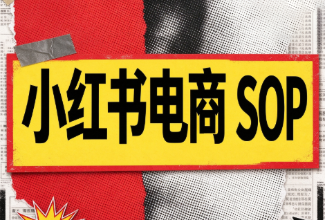 书豪必胜小红书电商sop(更新9月)-星火轻创