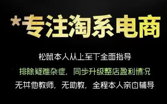 松鼠会电商VIP课程，从基础布局到高阶优化，助你掌握淘宝运营逻辑，提升店铺流量与转化(更新1029)-星火轻创