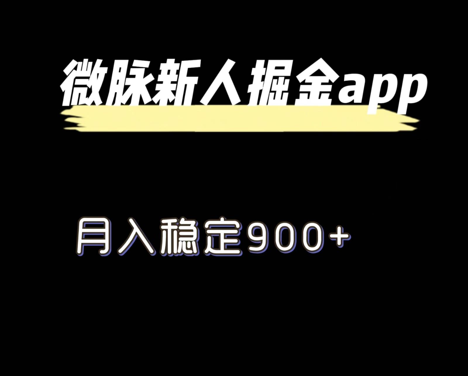 最新微脉长久项目，拉新掘金，月入稳定900+-星火轻创