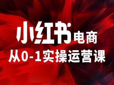 小红书电商从0-1实操运营课，让你从小白到精英-星火轻创