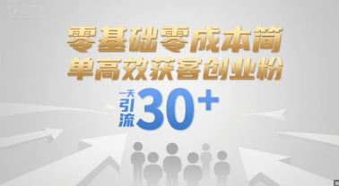 零基础零成本简单高效获客创业粉，一天引流30+-星火轻创