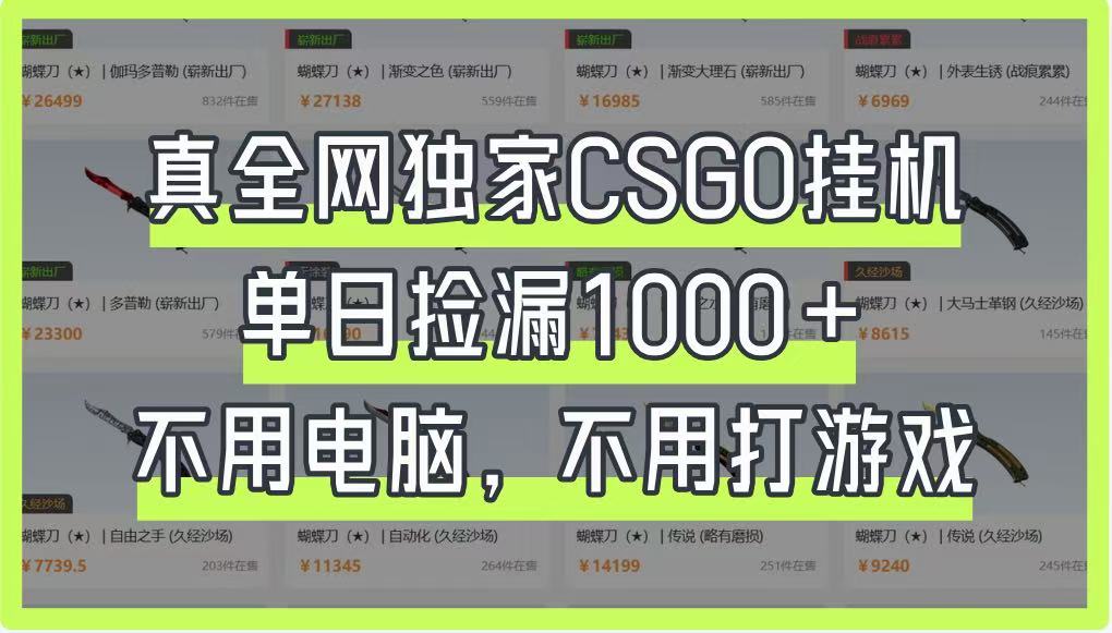 真全网独家CSGO挂机，单日捡漏1000+，不用电脑，不用养号-星火轻创