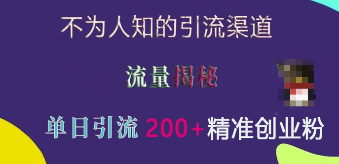 不为人知的引流渠道，流量揭秘，实测单日引流200+精准创业粉【揭秘】-星火轻创