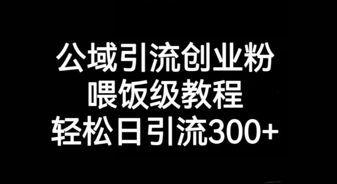 公域引流创业粉，喂饭级教程，轻松日引流300+【揭秘】-星火轻创