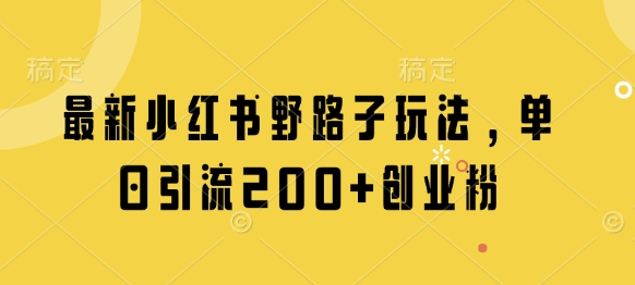 最新小红书野路子玩法，单日引流200+创业粉-星火轻创