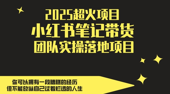 2025超火项目，副业最佳选择，小红书笔记带货团队实操落地项目，，轻松日入5张-星火轻创