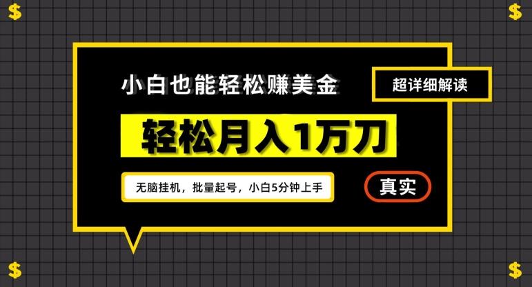 谷歌看广告撸美金2.0，无脑挂机，多号操作，月入1万刀【揭秘】-星火轻创