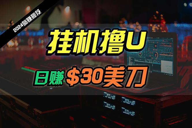 (10013期)日赚30美刀，2024最新海外挂机撸U内部项目，全程无人值守，可批量放大-星火轻创
