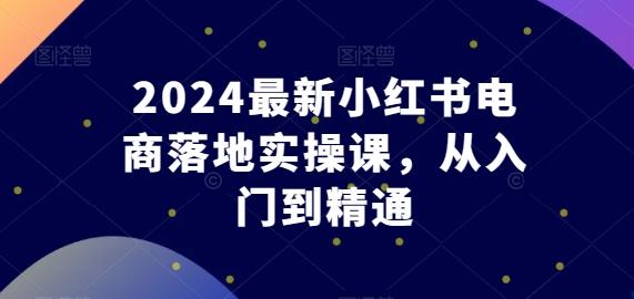 2024最新小红书电商落地实操课，从入门到精通-星火轻创