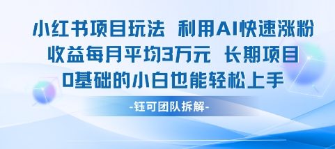 适合小白操作的小红书新项目，利用AI快速涨粉，收益每月平均1W+-星火轻创