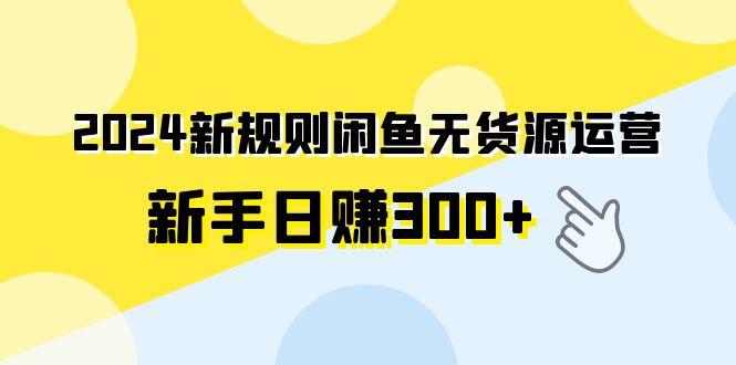 (9522期)2024新规则闲鱼无货源运营新手日赚300+-星火轻创