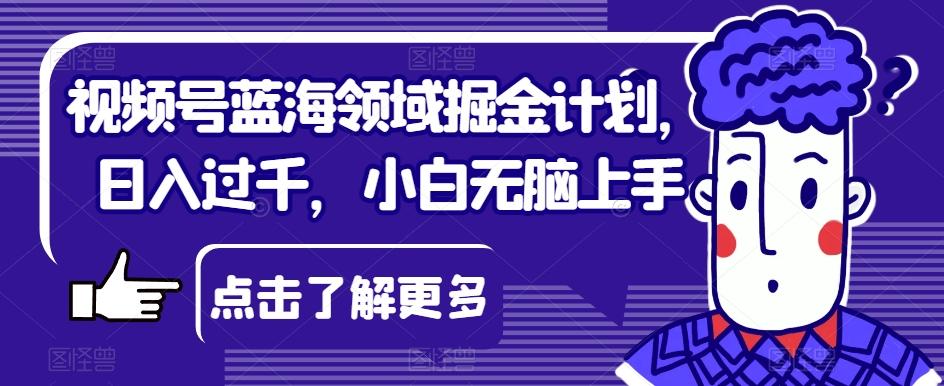 视频号蓝海领域掘金计划，日入过千，小白无脑上手【揭秘】-星火轻创