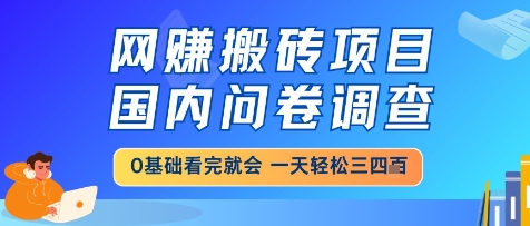 网创搬砖项目，国内问卷调查，小白轻松上手，一天三四张的也不难，干就完了【揭秘】-星火轻创