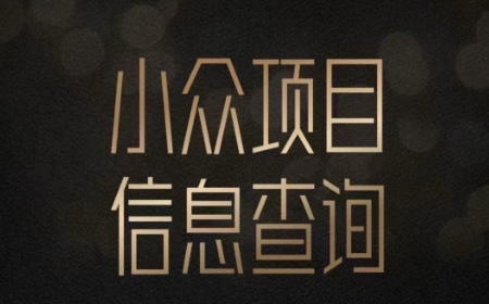 小众蓝海项目情感查询，女粉暴力掘金，轻松日入500+【揭秘】-星火轻创