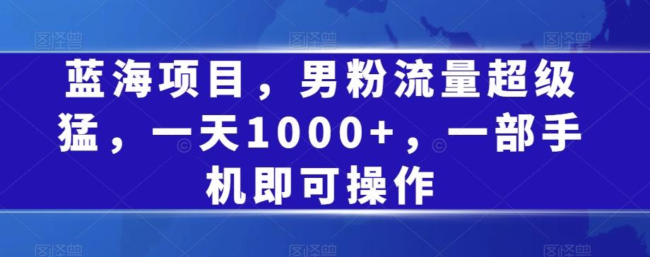蓝海项目，男粉流量超级猛，一天1000+，一部手机即可操作【揭秘】-星火轻创