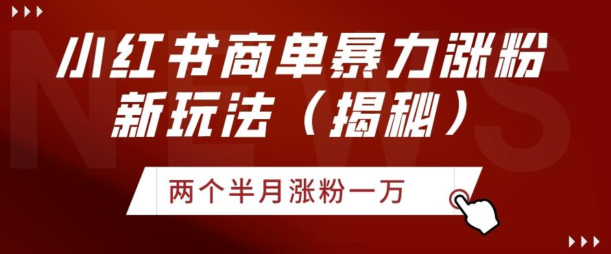 小红书商单暴力涨粉新玩法两个半月涨粉一万（揭秘）-星火轻创