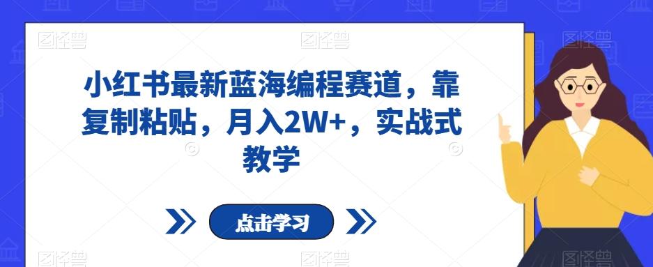 小红书最新蓝海编程赛道，靠复制粘贴，月入2W+，实战式教学【揭秘】-星火轻创